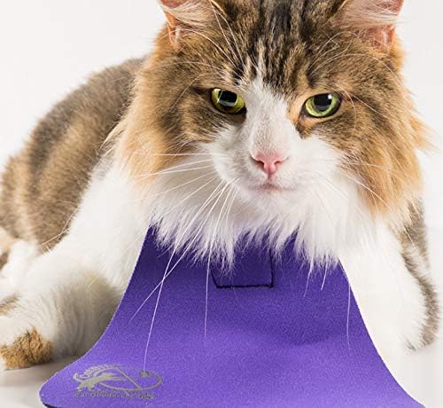 Bird Saving Cat Collar, Prevent Cats from Catching & Killing Birds, Anti Hunting Colorful Bib to Save Birds & Other Wildlife (Large, Turquoise)