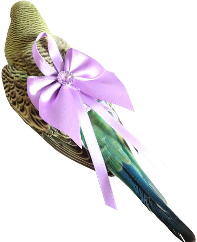 6pcs Bow Bird Diaper Set, Soft Reusable Flight Suit Clothing for Parrots Budgies Cockatiels — Cleaner Indoor Bonding & Training(XS)