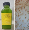 Starter Booster Pack 250+ Water Daphnia and 2 Triple Filtered Rainwater Starter