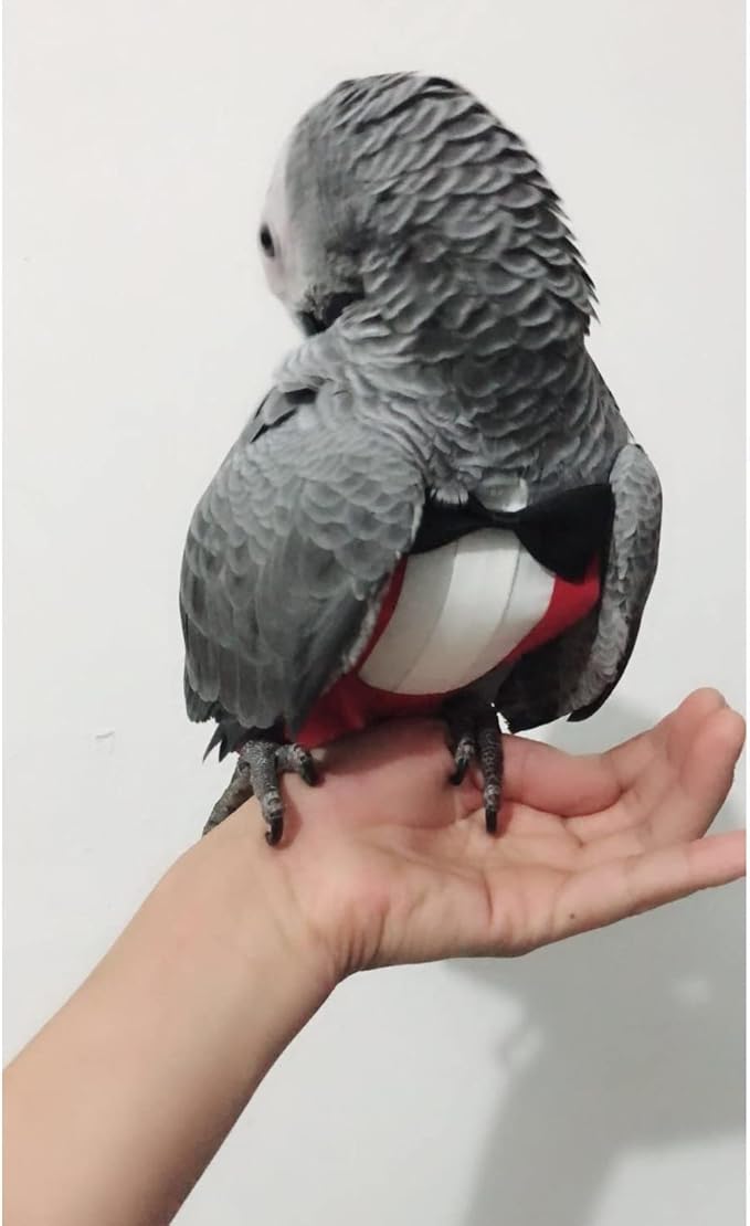 Bird Flight Suits Diapers, Parrot Flight Suits Diapers for Monk Parakeets, Cockatiels Flight Suits, Parrot Clothes, Bird Training Nappy Suit Liners Clothes (Medium,Red)
