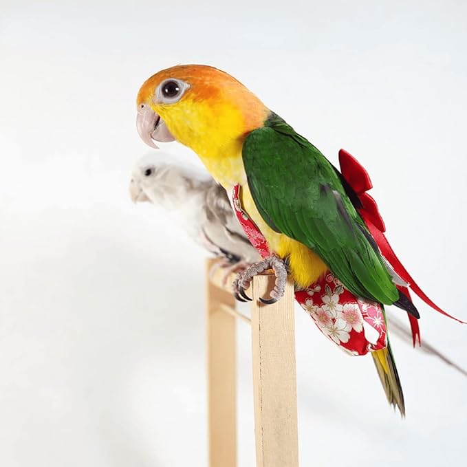 Bird Flight Suit Diapers for Monk Parakeets, Cockatiels - Parrot Clothes, Training Nappy Suit Liners (Small, Red-A)