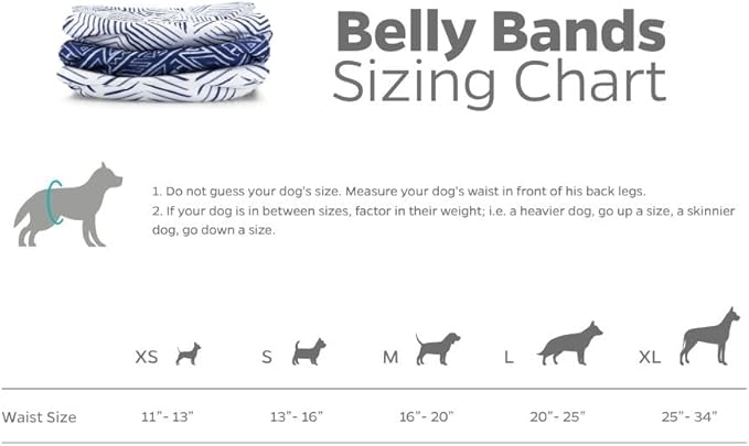 Pet Parents® Washable Belly Bands for Male Dogs (3pack) + Extendrs® of Durable Dog Diapers Male, Premium Male Dog Diapers & Dog Wraps (X-Small, Kahuna)