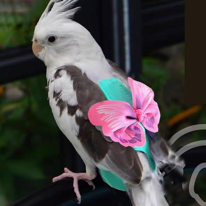 Escape-Proof Parrot Harness & Leash Set with Diaper - Adjustable Flight Suit with Bow & Safety Cord for Conures, African Grey, Parakeets, Doves (Pink-M)