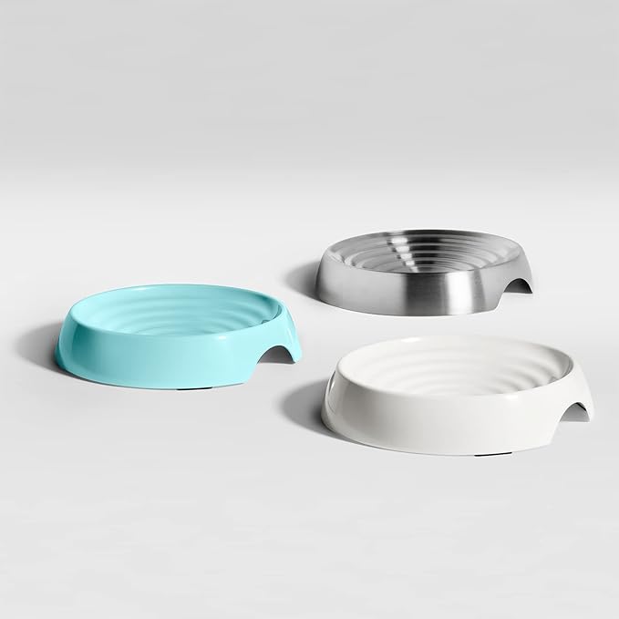 CatGuru Cat Bowls, Whisker Friendly Food Bowl for Indoor Cats, Reliefs Whisker Fatigue, Wide Kitten Dish, Non Slip Pet Dishes, Shallow Pet Plates (Aruba)