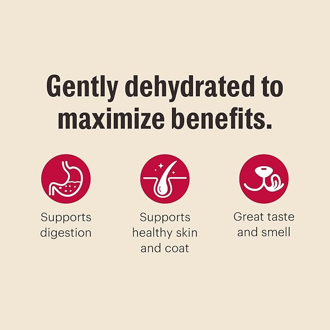 The Honest Kitchen Human Grade Wholemade™ Dehydrated Whole Grain Beef & Oat Dog Food, 1.5 oz x10