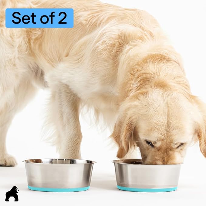 GORILLA GRIP Dog Bowls, Heavy Duty 304 Stainless Steel Holds 8 Cups Each (64 fl oz) Food and Water Bowl for Feeding Dogs and Cats Dishwasher Safe Rust Resistant BPA Free Rubber Base Set of 2 Turquoise
