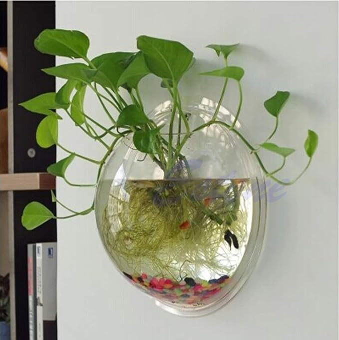 Wall Mounted Fish Bowl Hanging Betta for Tank Aquarium Wall Decor Plant Fish Bubble Bowls Clear Acrylic 5.9"" 7.7"" 10.2"" Aquariums Tanks for Turtles