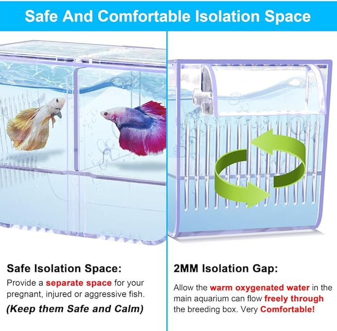 Fish Breeding Box Aquarium Holding Tank Transparent Fish Isolation Box Acclimation Hatchery Incubator Breeder for Betta Shrimp Clownfish Guppy(Size L)