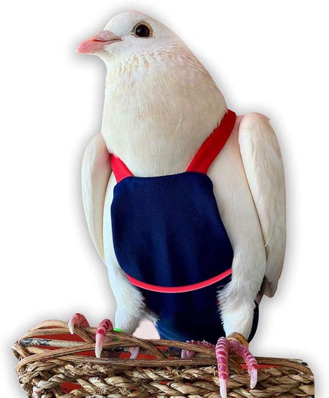 Bev's Bird Boutique Regular Flyper Adjustable Bird Diaper | Reusable, Washable Cloth | Comfort Fit for Parrot, Cockatiels, & Other Small Birds | Fashionable Avian Accessories, Navy & Red, Size 4