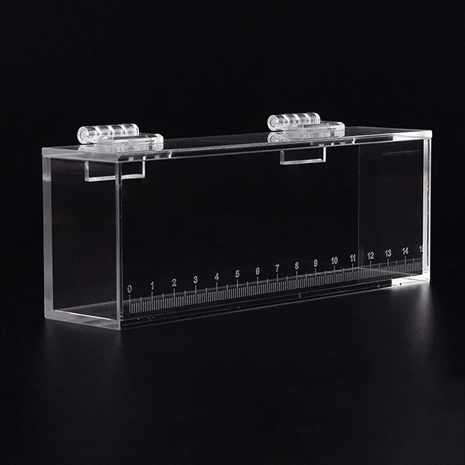 Fish Watching Box Fishing Photo Tank Acrylic Hatchery Incubator Observation Box Small Case Storage Box Holder Fish Breeding Tanks Photo Box, S