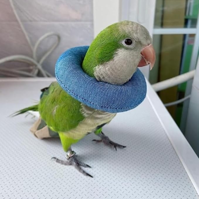 Parrot Neck Collar Pet Anti-bite Picking Feather Healing Protective Neck Cover Collar for Birds Conures Cockatiels Lovebirds Budgies Cockatoos African Grey Random Color (S)