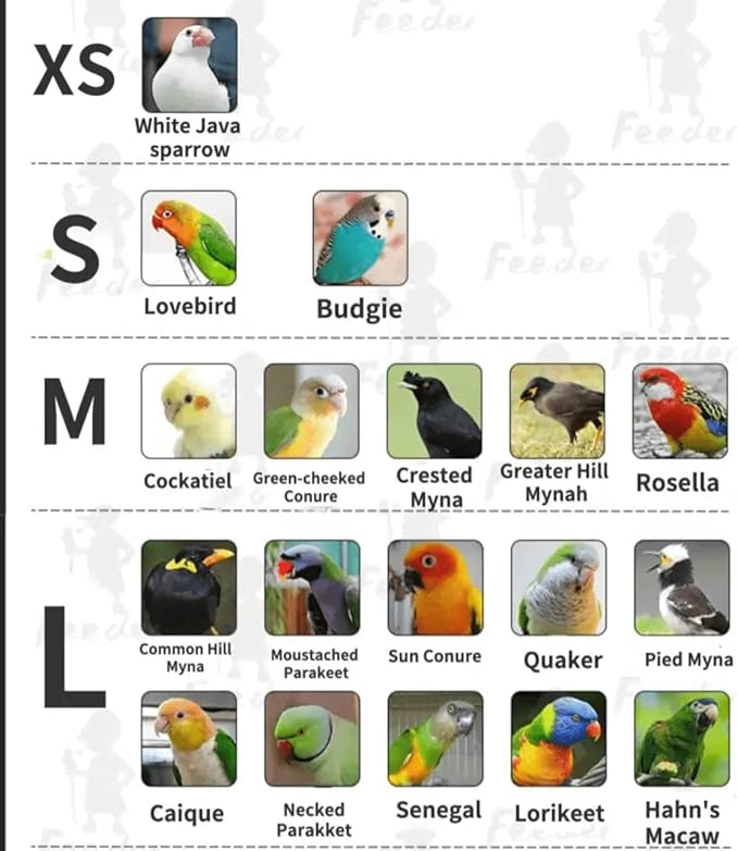Bird Flight Suits Diapers, Parrot Flight Suits Diapers for Monk Parakeets, Cockatiels Flight Suits, Parrot Clothes, Bird Training Nappy Suit Liners Clothes (XS, Red-B)