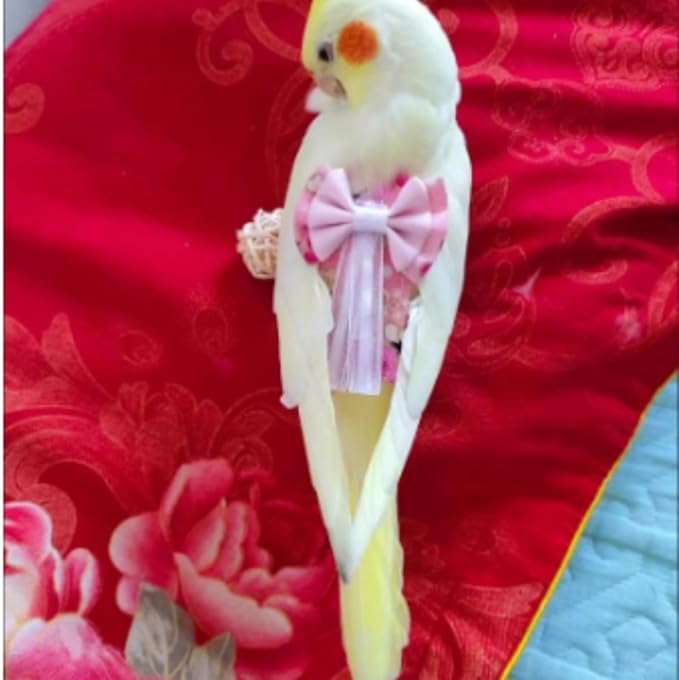 Bird Diaper Cockatiel Clothes Flight Suite, Reusable Parrot Nappy with Waterproof Inner Layer, Cute Pigeon Pants Urine Wet Suit Costume for Conure Macaw (Blue C,M)