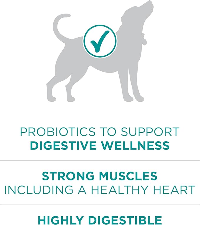 Purina One Plus Digestive Health Formula Dry Dog Food Natural with Added Vitamins, Minerals and Nutrients - 31.1 Lb. Bag