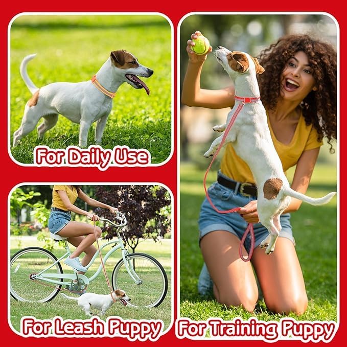 Reflective Puppy Collar and Leash Sets, XS Dog Collar and Leash Adjustable Quick Release Kitten Collar with Bell for Tiny Little XXS Extra Small Breed Pets Dogs Cats Girls Female, Hot Pink