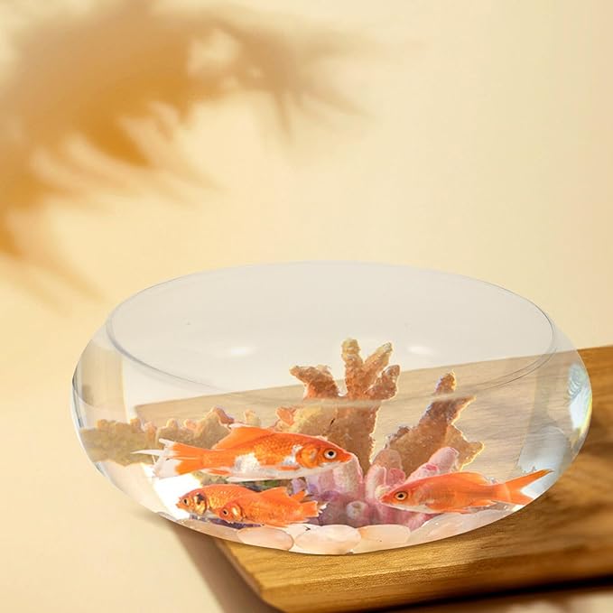 SUPVOX Glass Daffodil Pot 9.84 Inch Clear Round Fishbowl Planter Hydroponic Aquarium Bowl for Succulent Plants Home Garden Decoration