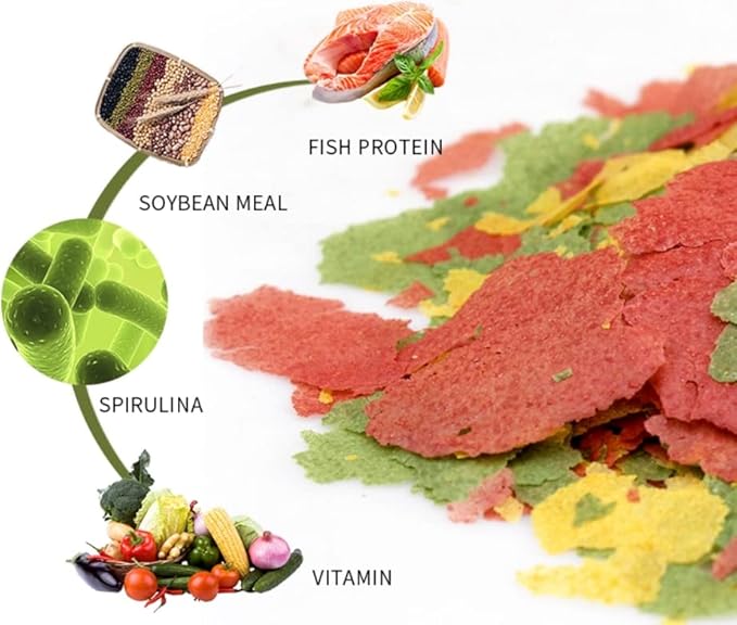 A Lot'l Axolotls Tropical Fish Flakes - Colour Enhancing - High Protein - Staple Food - 227g / 8 Oz Value Size