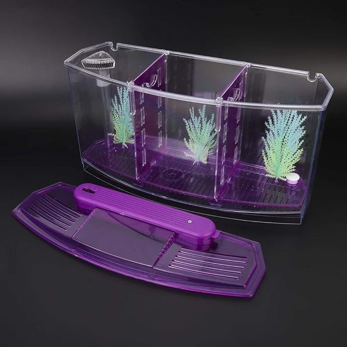 Acrylic Aquarium Isolation Box,Mini Fish Tank Breeding Hatchery Small Fishes Incubator with Three Divisions and LED Light(Purple)