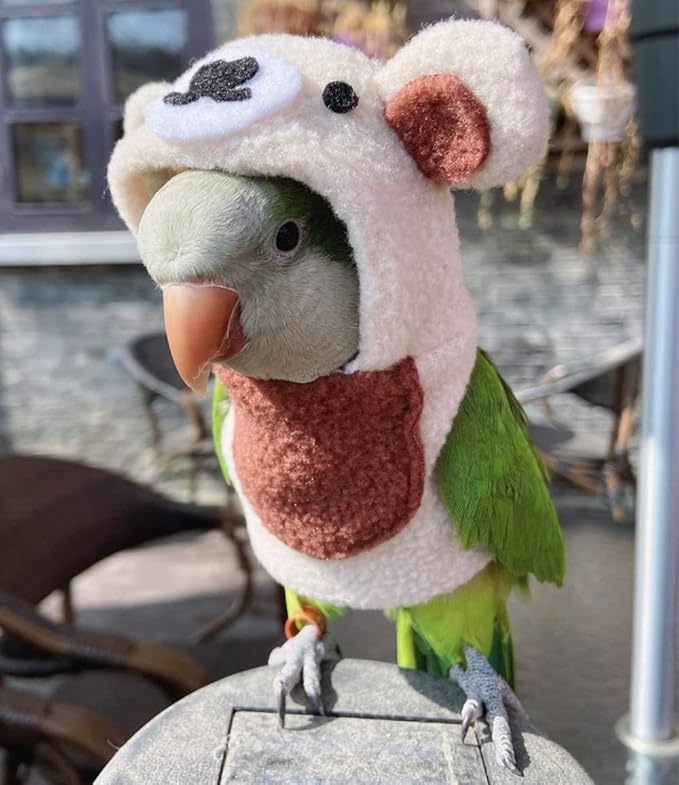 Bird Costume Bird Diaper Flight Suit Bird Bear Shape Bird Clothes Cosplay Photo Prop for Parrots Lovebird Parakeet Cockatiel Small Animals Apparel (with Diaper,Pigeon)
