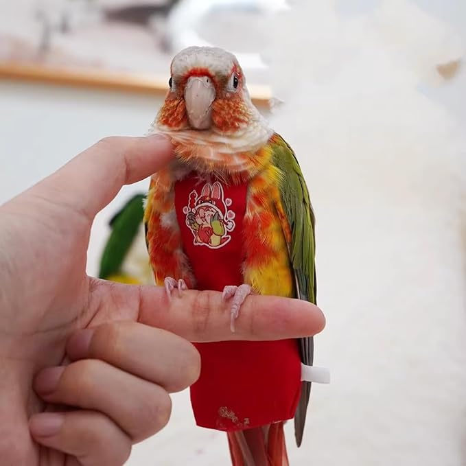 MANON ROSA Bird Diapers Leash Set Washable Reusable Handmade Flight Suit Waterproof Inner Layer - Protective Parrot Nappy Clothes Parakeets Macaws Budgies Canaries (Black3,Myna)