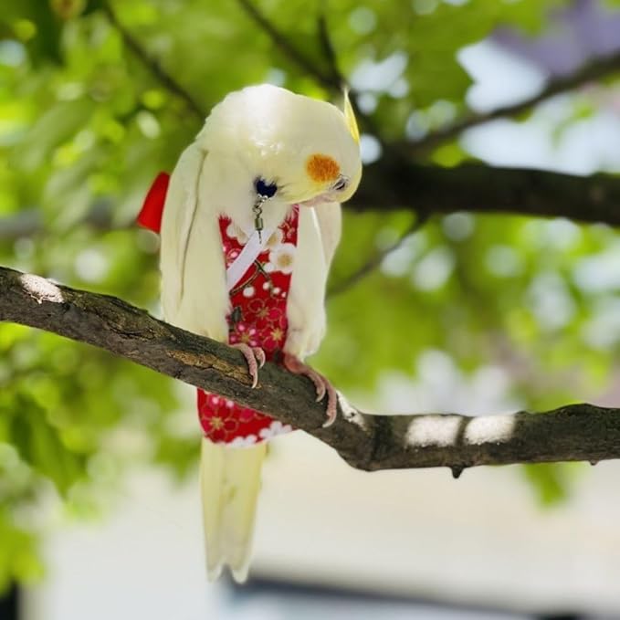 Bird Diaper Cockatiel Clothes Flight Suite, Reusable Parrot Nappy with Waterproof Inner Layer, Cute Pigeon Pants Urine Wet Suit Costume for Conure Macaw (Grey,Macaw)