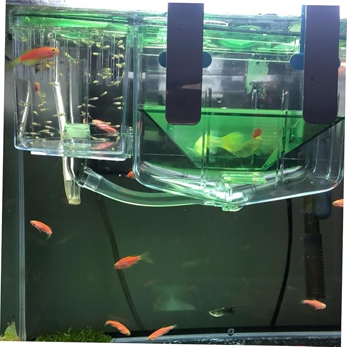 UPKOCH Self-Guided Isolation Box for Fish Breeding Tank Transparent Aquarium Breeding Box Protects Sick and Young Fish Survival Rate for Home Use
