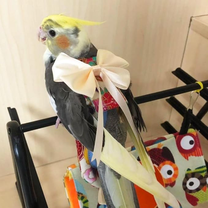 Bird Flight Suits Diapers, Parrot Flight Suits Diapers for Quaker Parakeets Cockatiels Flight Suits, Parrot Clothes (Red,S)
