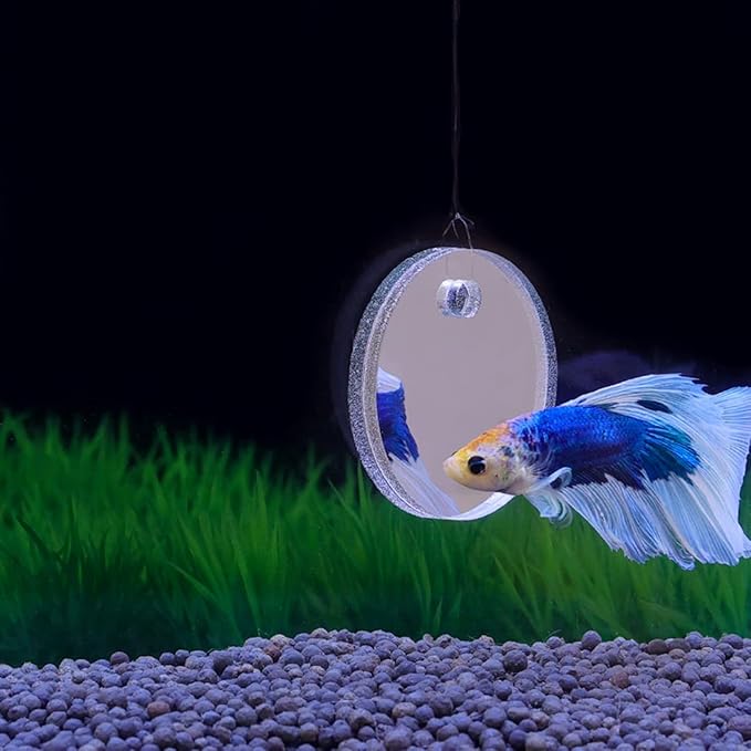 Betta Training Mirror Fish for Tank Fish Antidepressant Work Out Special for Betta Fitness Mirror Betta Toys Mirror Aquarium Decor (5cm) (6cm)
