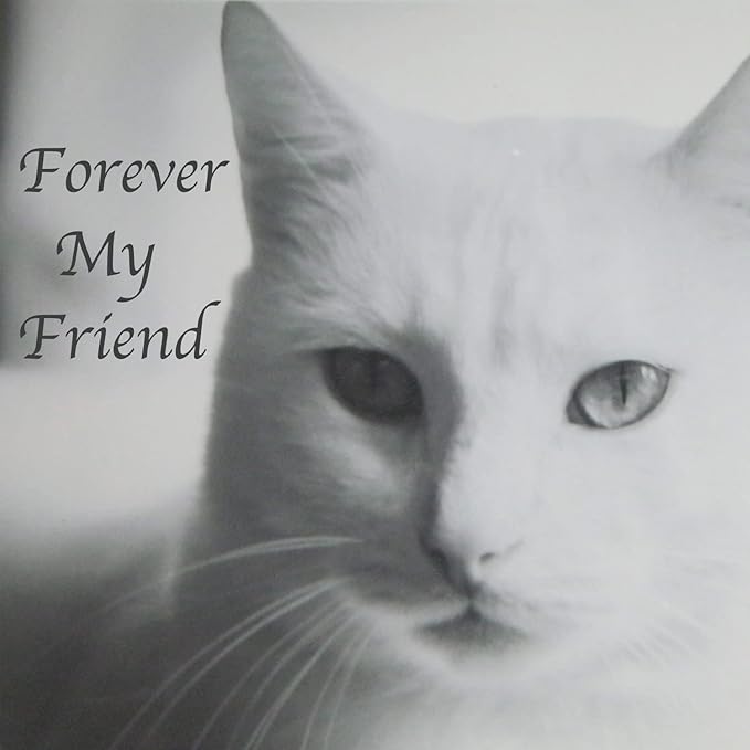 Pet Cremation Urns for Cats Ashes, Up to 60 lbs Cat Memorial Keepsake Urns for Ashes-Medium (Gray)