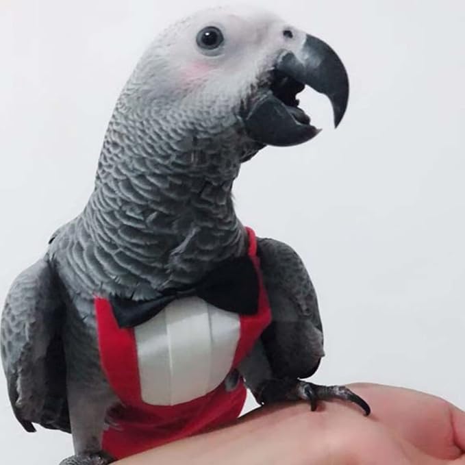 Bird Flight Suits Diapers, Parrot Flight Suits Diapers for Monk Parakeets, Cockatiels Flight Suits, Parrot Clothes, Bird Training Nappy Suit Liners Clothes (X-Large,Red)