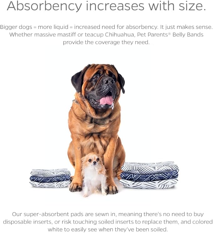 Pet Parents® Washable Belly Bands for Male Dogs (3pack) + Extendrs® of Durable Dog Diapers Male, Premium Male Dog Diapers & Dog Wraps (X-Large, Kahuna)