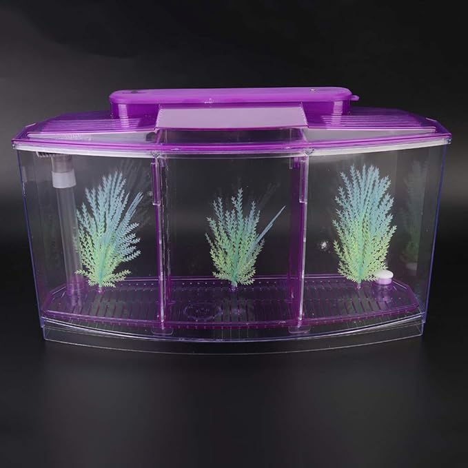 Three Areas Small Aquarium, Transparent Fish Tank, Desktop with Water Change Valve with LED Light for Betta Small Fishes(Purple)