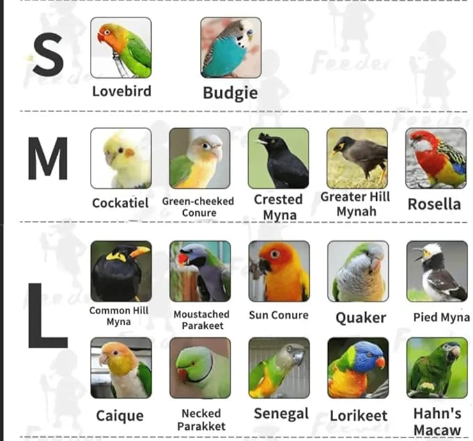 Bird Flight Suits Diapers, Parrot Diapers for Monk Parakeets, Cockatiels, Parrot Clothes Costume, Bird Training Nappy Suit Liners Clothes (Large,Navy)