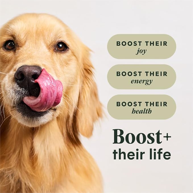 Instinct RawBoost, Natural Dry Dog Food with Freeze-Dried Pieces, High Protein, Grain-Free Recipe - Real Beef, 20 lb. Bag
