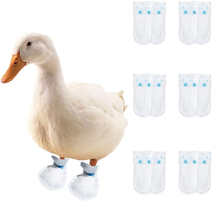 MANON ROSA Duck Shoes for Real Ducks Chickens 10-Pair Waterproof & Disposable Booties with Self-Adhesive Bandage for Waterfowl Wound Foot Care Bumblefoot (Waterproof Version,XL)