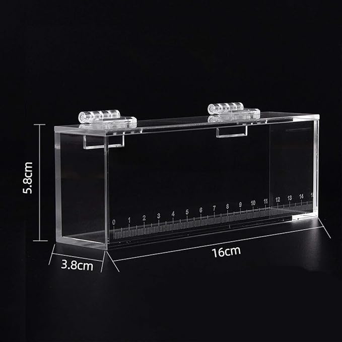 Fish Watching Case - Acrylic Hatchery Incubator & Observation Box for Small Fish Breeding Tanks, Photo Box, L