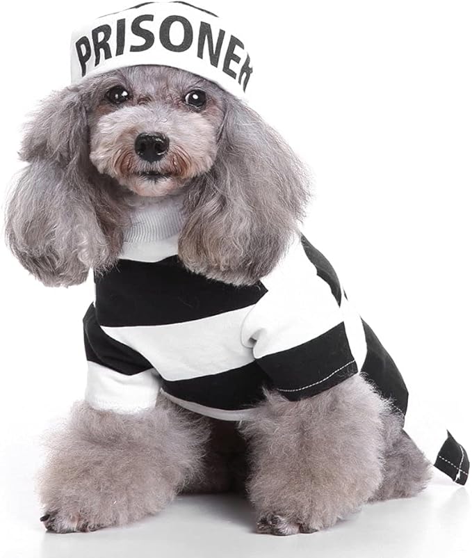 Halloween Fancy Prisoners Dogs Cats Warm Costumes with Hat for Teddy, Pug, Chihuahua, Shih Tzu, Yorkshire Terriers, Papillon D-Black/White M