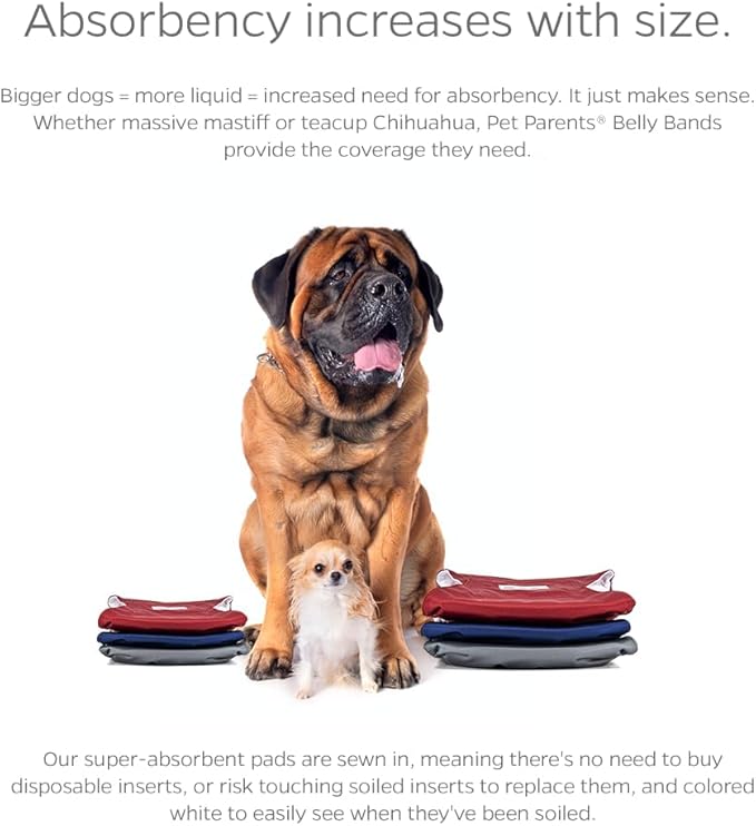 Pet Parents® Washable Belly Bands for Male Dogs (3pack) + Extendrs® of Durable Dog Diapers Male, Premium Male Dog Diapers & Dog Wraps (X-Small, Kingsmen)
