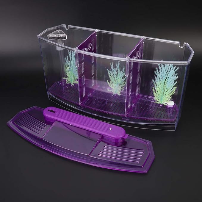 HEEPDD Triple Chamber Fish Breeder Box for Aquarium, Transparent Acrylic Small Fishes Breeding Isolation Box with Six LED Lights and Water Change Valve Breeder for Fish Tank (Purple)