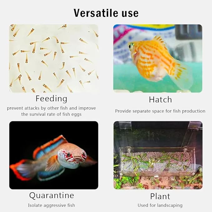 La La Pet®Adjustable Hanging Aquarium Plant Holder Acrylic Breeder Box for Fish Tank Transparent Hatching Incubator Box Isolation Box for Small Fish Large