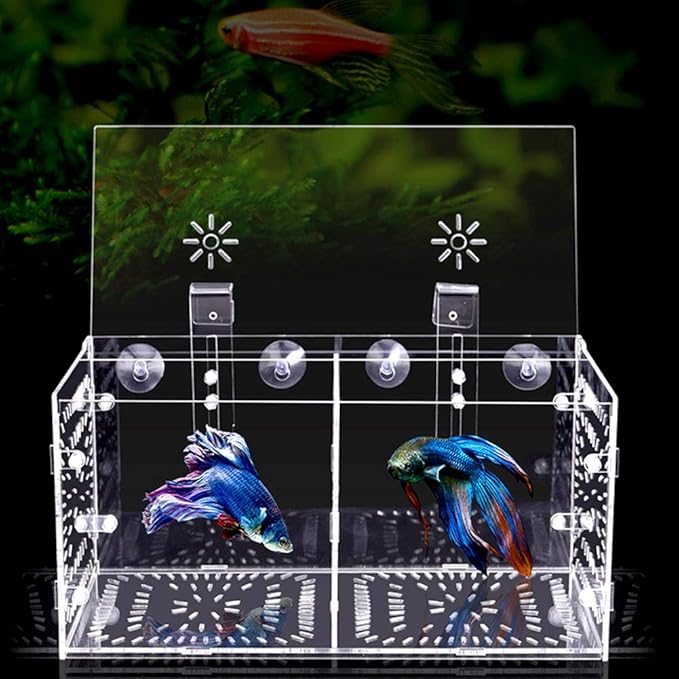 Fish Tank Breeding Box Acrylic Isolation Incubation, Adjustable Height, Transparent - Durable Material, Stable Attachment, Ideal for Aggressive and Sick Fish (30CM*15CM*15CM)
