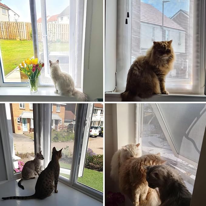 Cat Balcony Net Window Screen Mesh with Zipper Opening,Cat Safety Net Anti-Falling Netting for Balcony Window,Anti-Mosquito Insect Fly Screen Fiberglass Mesh (White,47x71inch)