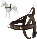 Plutus Pet No Pull Dog Harness with Breathable Mesh Padded, Adjustable Reflective Escape Proof Dog Harness, Quick Fit Dog Vest Harness for Small Medium Large Dogs(XS, Chocolate)