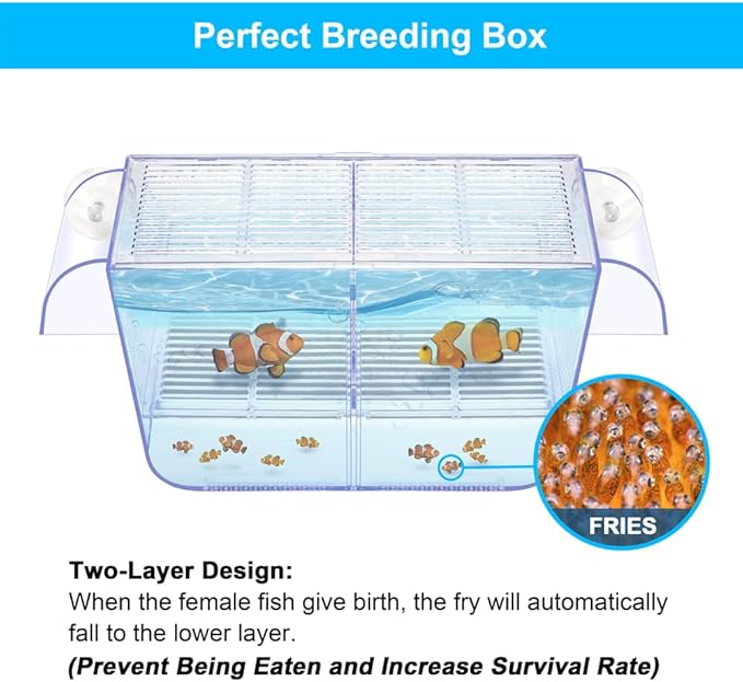 Fish Breeding Box Aquarium Holding Tank Transparent Fish Isolation Box Acclimation Hatchery Incubator Breeder for Betta Shrimp Clownfish Guppy Large