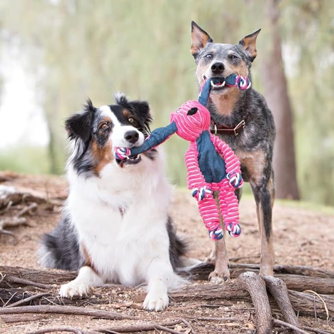 KONG Floppy Knots - Knotted Rope Dog Toy Entices Play - Tug Toy Satisfies Natural Instincts - Dog Supplies with Floppy Design & Minimal Stuffing - Bunny, For Medium/Large Dogs