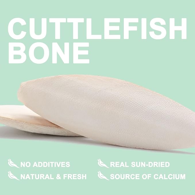 Cuttlebone for Birds Parakeets Canaries Cockatiels Small Conures Mynahs Toucans African Greys All Parrots Snails Totoise,Natural Cuttlefish Bone for Bird Cage (7"-7.5"(Pack of 6))