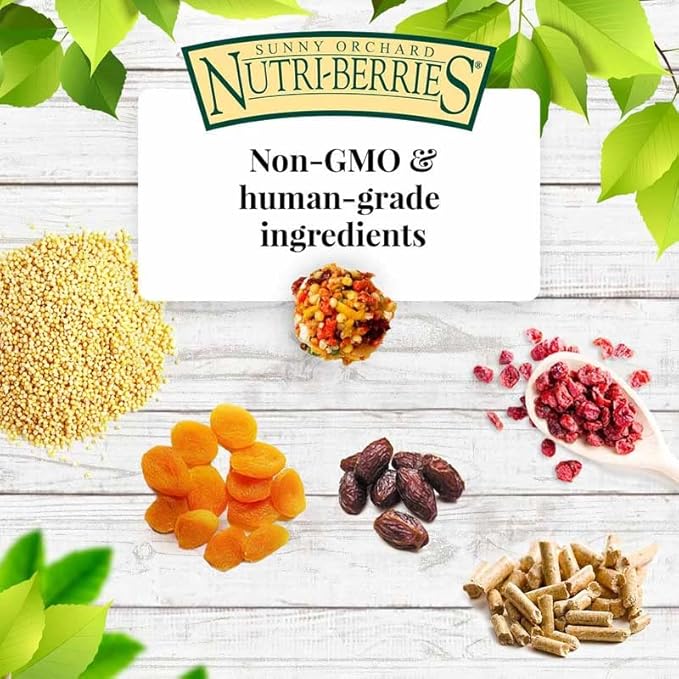 LAFEBER'S Sunny Orchard Nutri-Berries Pet Bird Food, Made with Non-GMO and Human-Grade Ingredients, for Parrots (10 oz Pack of 2)