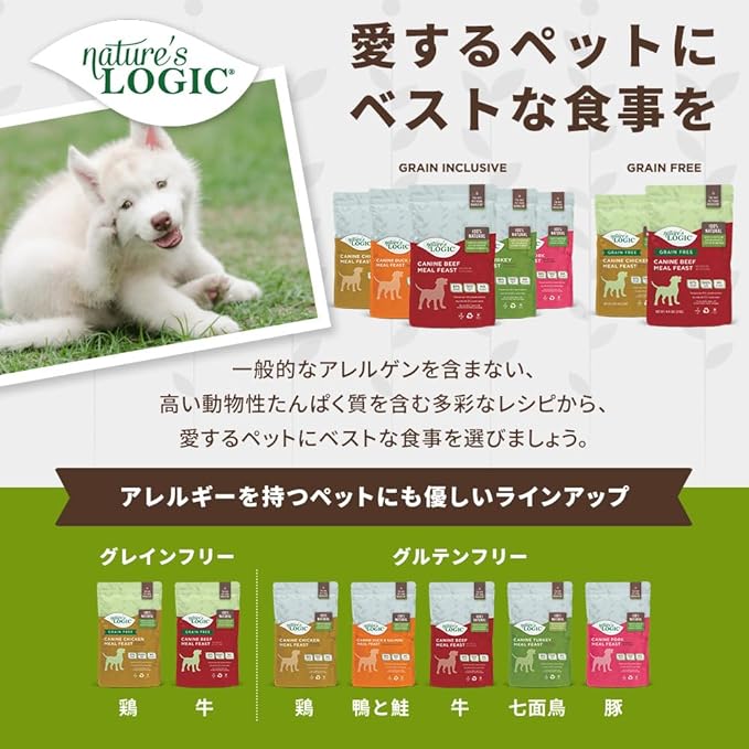 Nature's Logic Dry Dog Food - 100% Natural - No Synthetics - For All Ages, Sizes, Breeds - Free From Common Allergens, High Protein - Chicken Meal Feast, 4.4lbs