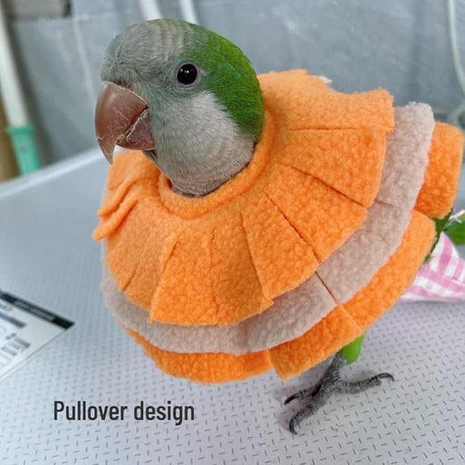 Bird Collar Anti Bite Elizabethan Recovery Cone, Bird Neck Protector for Feather Plucking, Bird Neckwear Full Body Shield for Parakeet Color Randomly (Amazon)