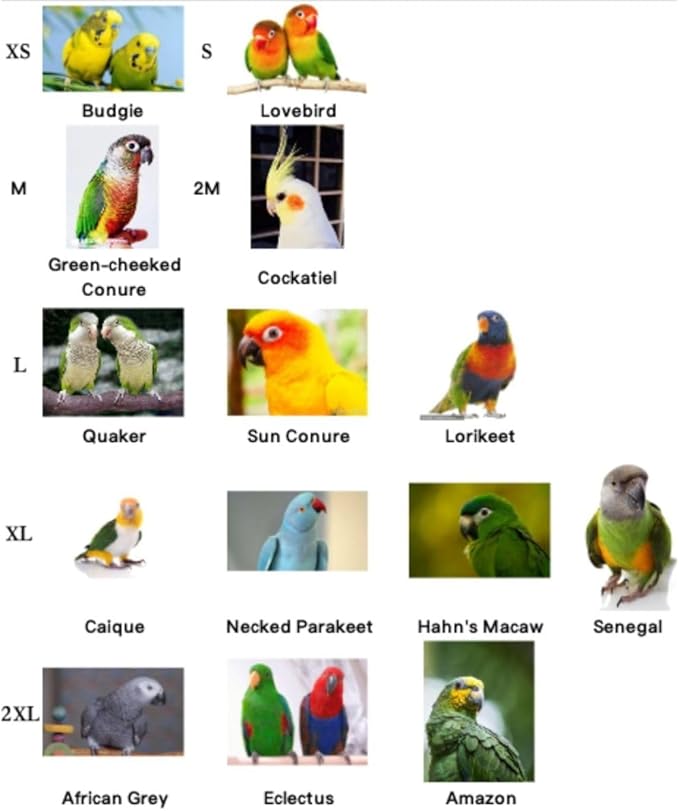 Bird Diaper Cockatiel Clothes Flight Suite, Reusable Parrot Nappy with Waterproof Inner Layer, Cute Pigeon Pants Urine Wet Suit Costume for Conure Macaw (Pink,XS)